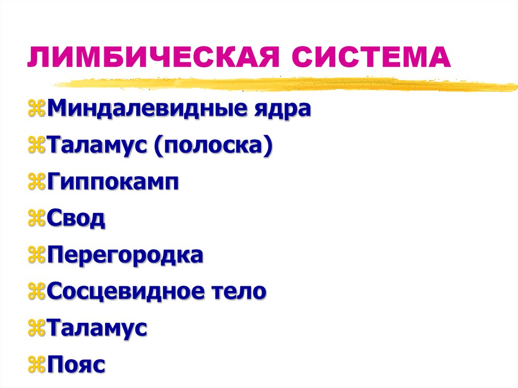 ЛИМБИЧЕСКАЯ СИСТЕМА