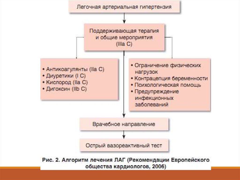 Схема лечения легочной гипертензии