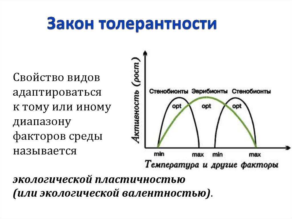 Диапазон экологической толерантности. Закон толерантности Шелфорда кратко. Закон минимума и закон толерантности. Закон толерантности в экологии.