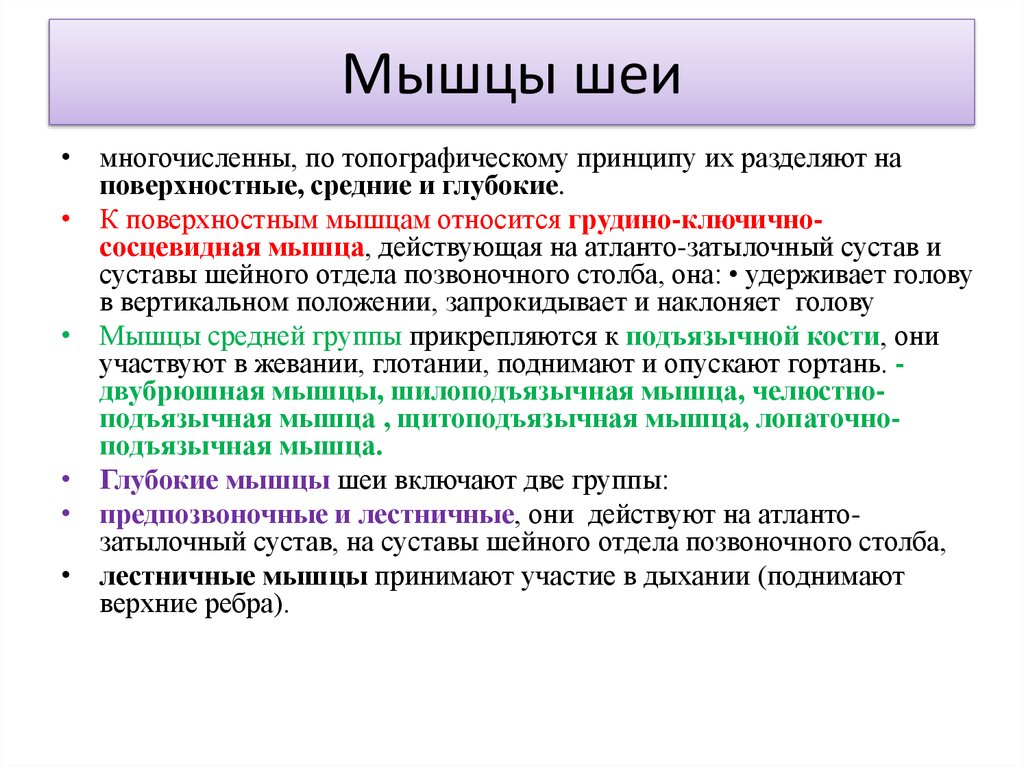 Функции мышц шеи. Мышцы шеи анатомия таблица функции. Классификация мышц головы и шеи. Поверхностные мышцы шеи таблица. Поверхностные мышцы шеи анатомия таблица.