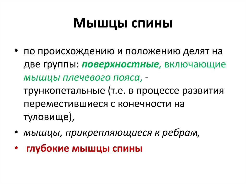 Происхождение положение. Мышцы спины по происхождению. Трункопетальные развиваются из. Трункопетальные развиваются. Спин.генеза СДР.