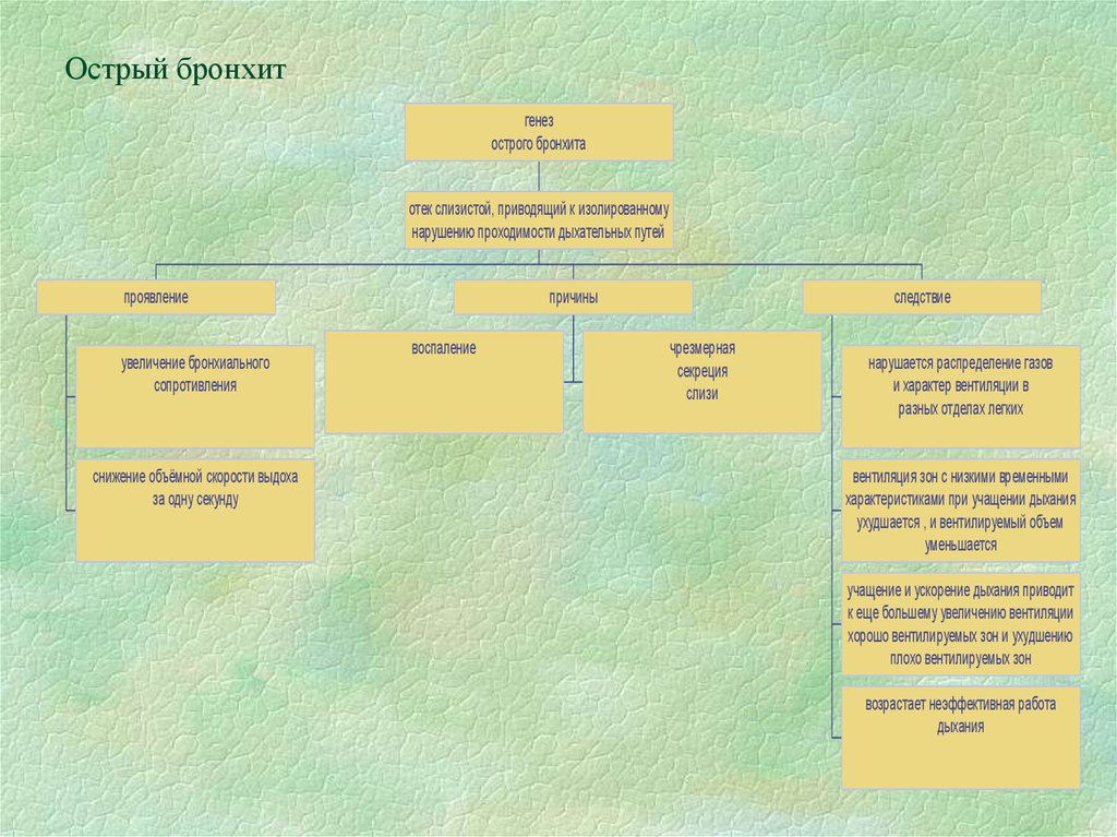 Острый бронхит
