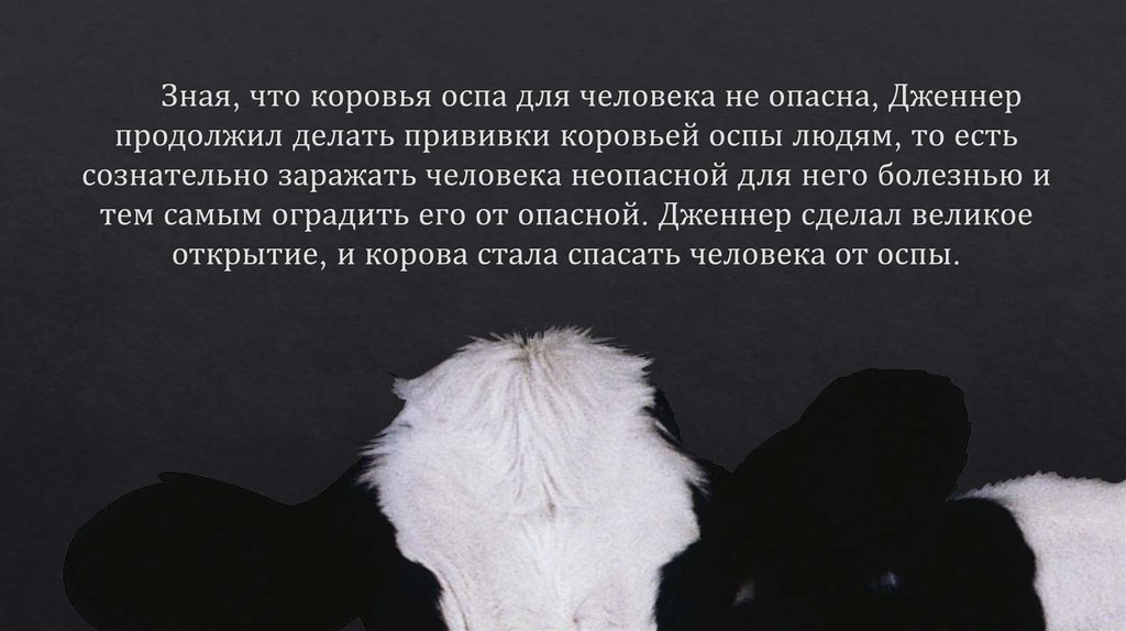 Зная, что коровья оспа для человека не опасна, Дженнер продолжил делать прививки коровьей оспы людям, то есть сознательно