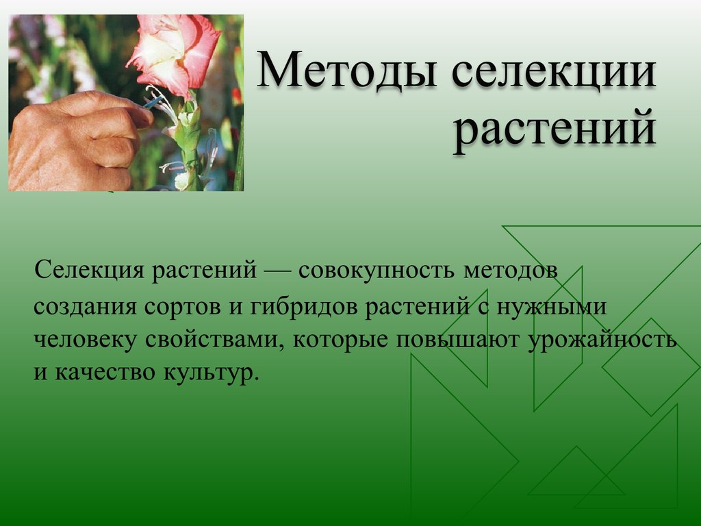 Особенности методов селекции растений