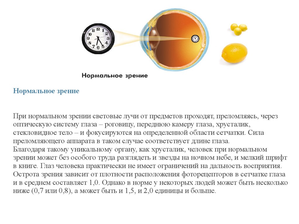 Возможности и особенности человеческого глаза проект