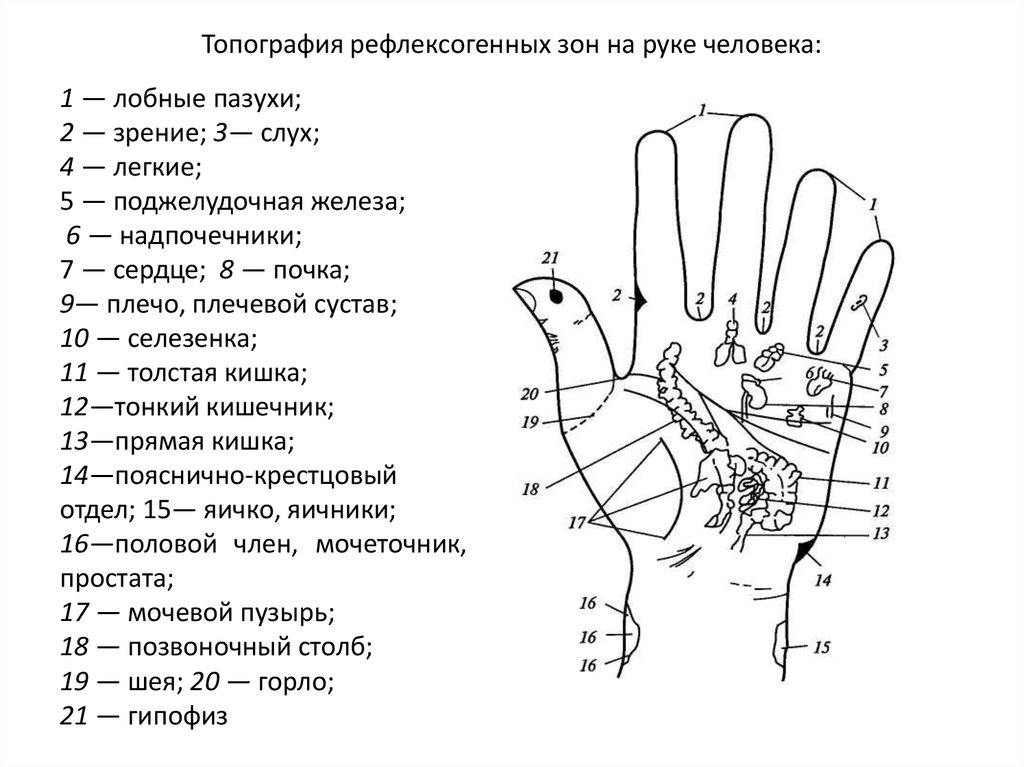 Точки на руках для массажа. Схема биологически активные точки ладоней рук. Су-Джок терапия акупунктурные точки. Акупунктура тела человека схема болевые точки. Точки акупунктуры на кистях рук.