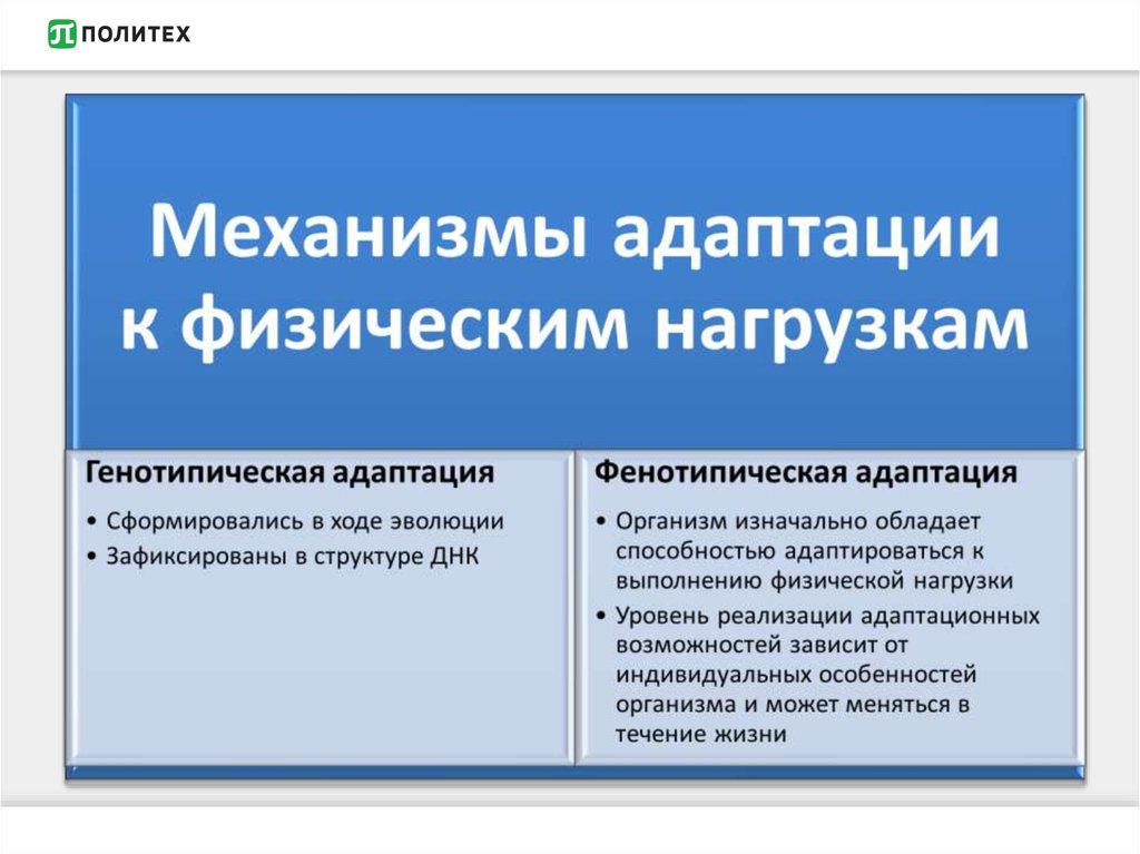 Адаптация к физическим нагрузкам. Механизмы адаптации организма к физическим нагрузкам. Специфические механизмы адаптации. Виды адаптации к нагрузкам. Виды адаптации. Механизмы адаптации..