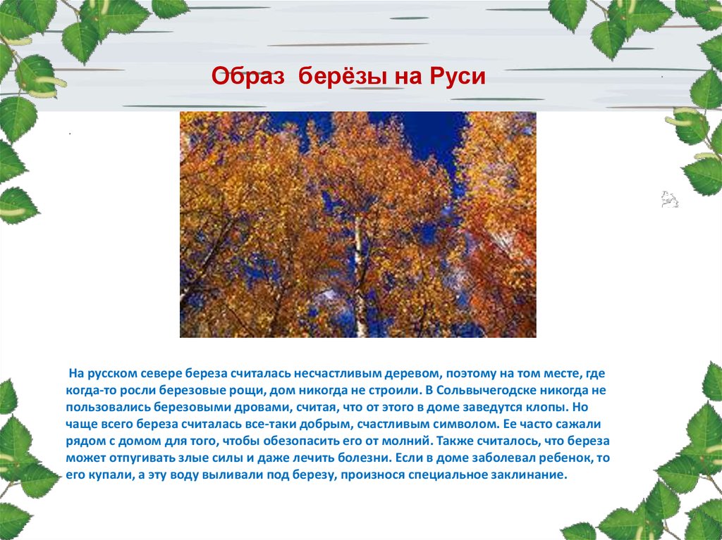 Образ березы. Береза на севере. Есть на севере береза. Береза произносим. Березовая чаща.