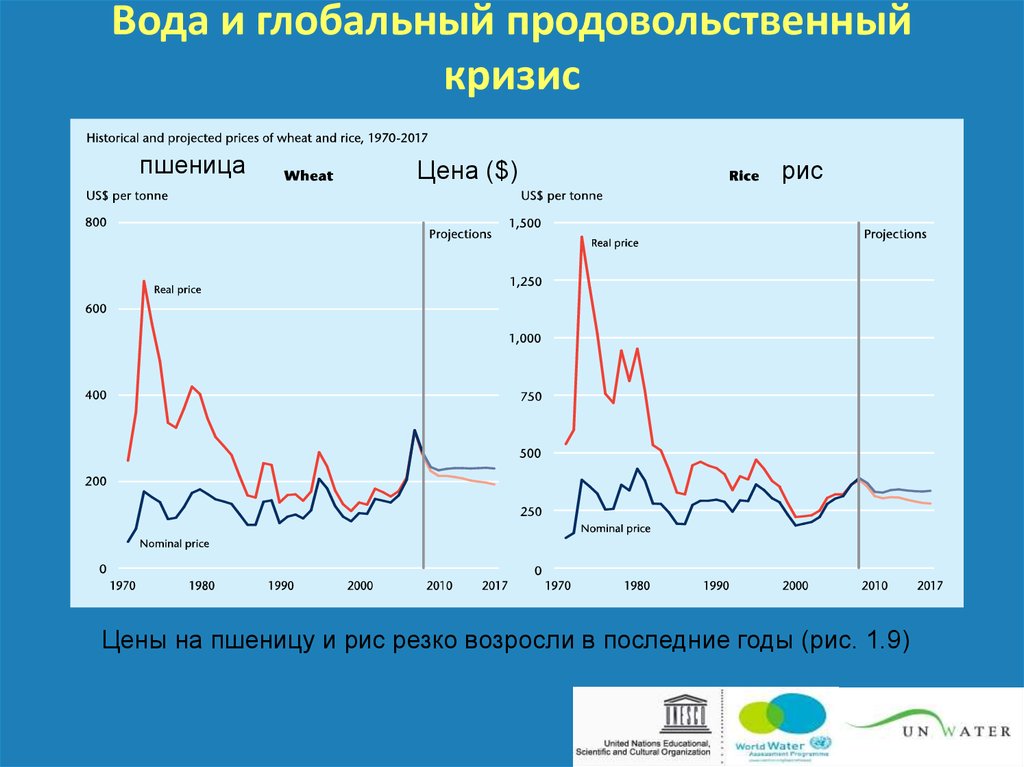 Продовольственный кризис презентация