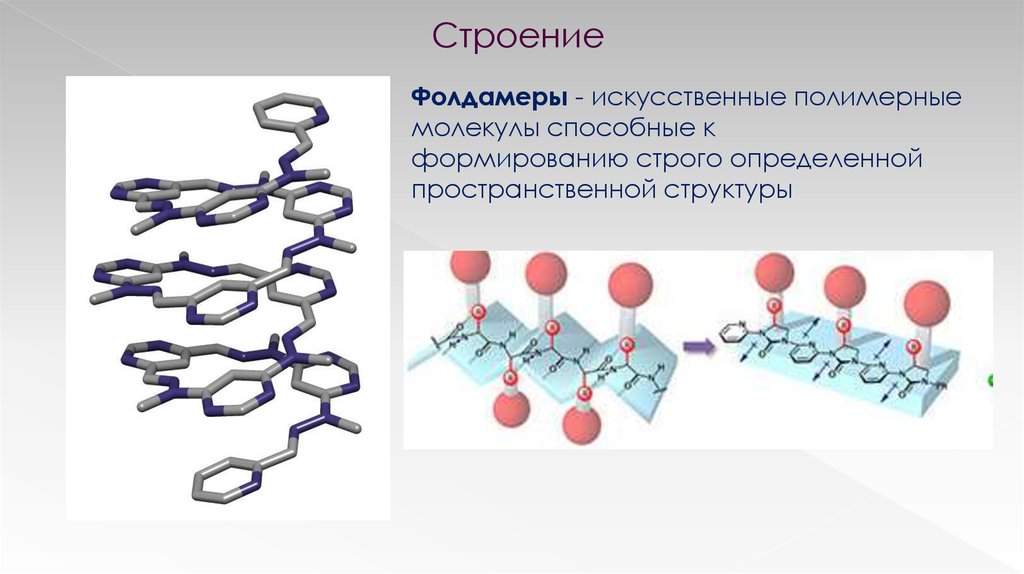 Фолдамеры. Применения фолдамеров - презентация онлайн