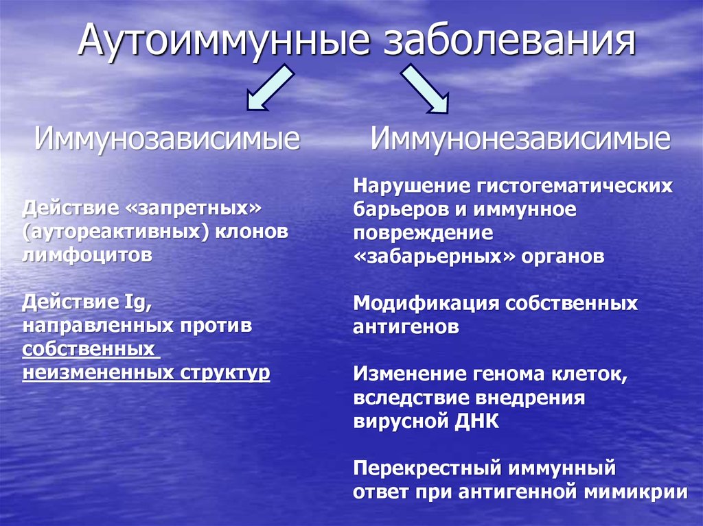 Хроническое аутоиммунное заболевание