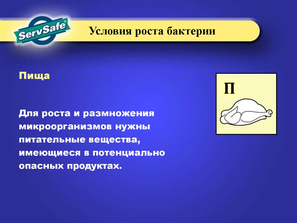 Условия 4. Условия роста бактерий. Условия роста микроорганизмов. Для роста бактерий необходимы 4 условия. Условия необходимые для микроба.