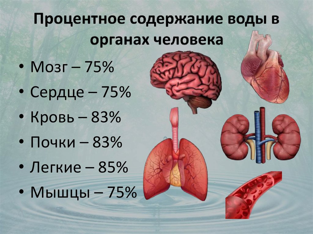 Продажа органов человека