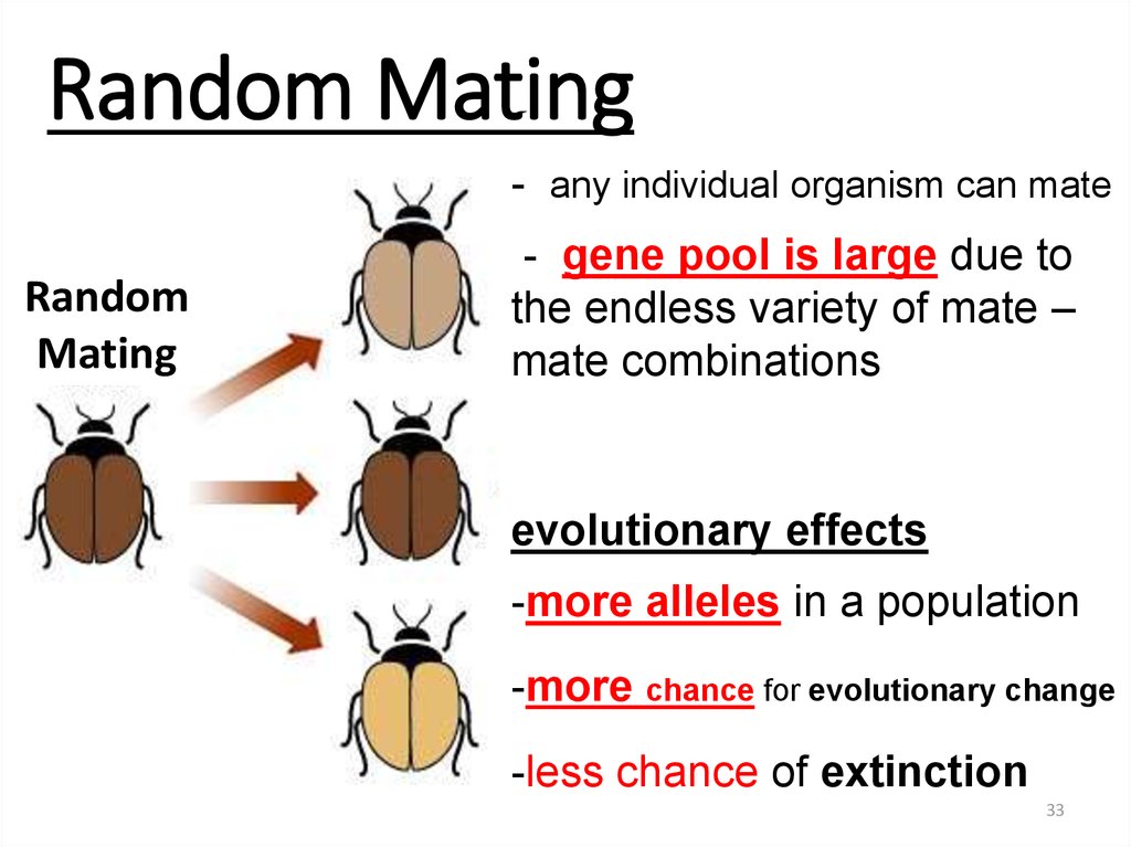 Non Random Mating Example - slidesharetrick