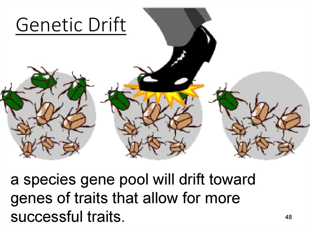 genetic-drift