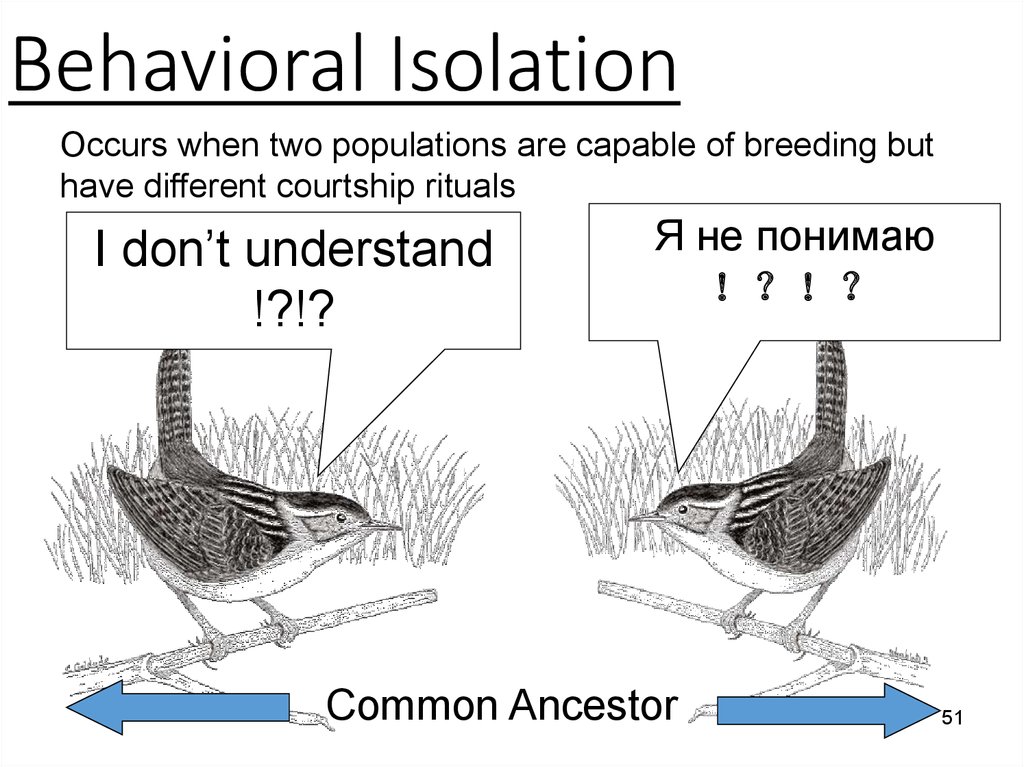 evolution-i-antibiotic-resistance-online-presentation