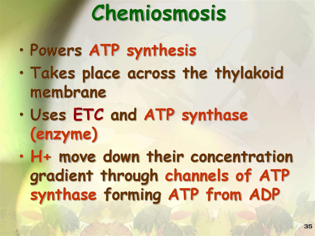 Chemiosmosis