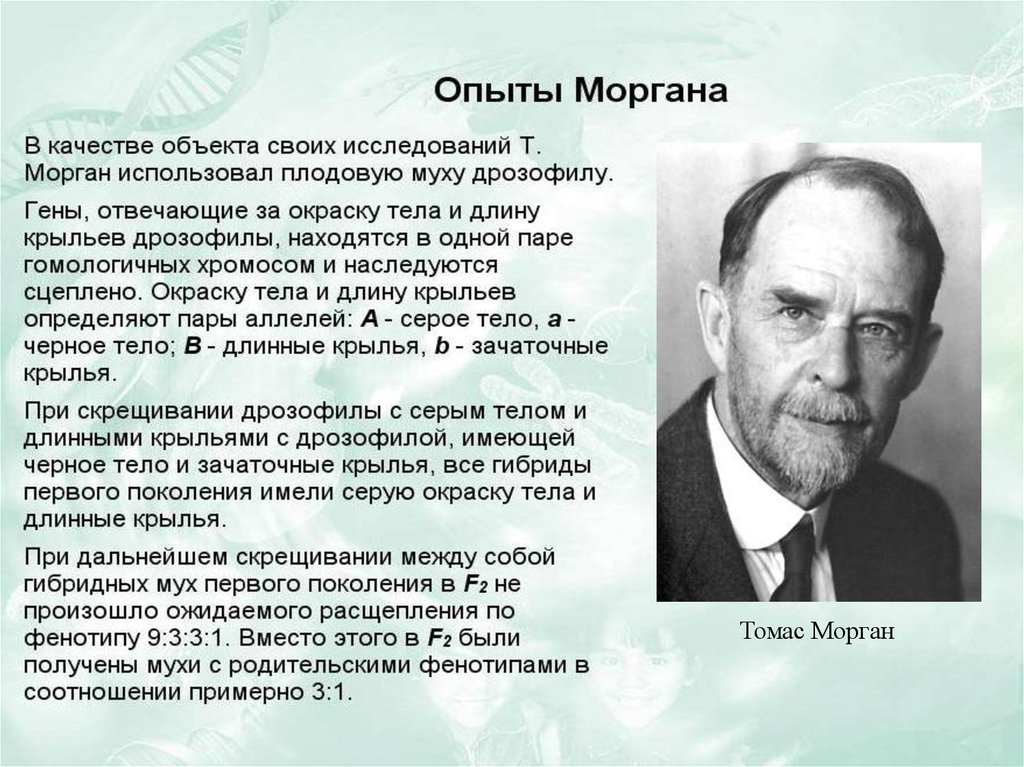 Опыты моргана