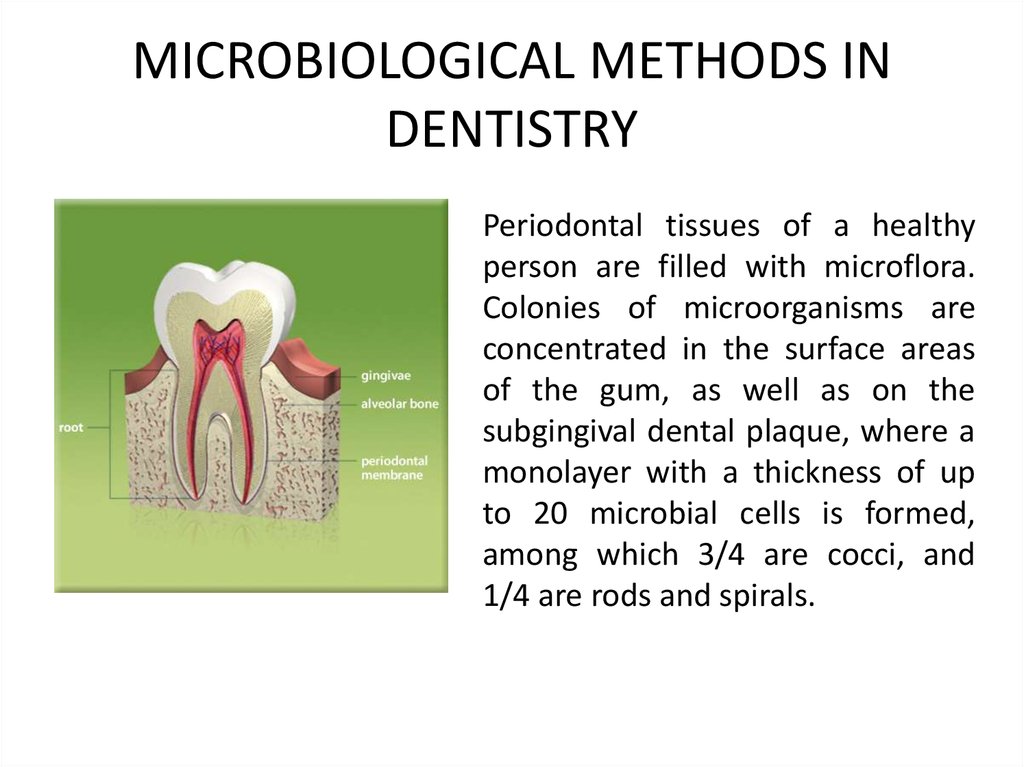 MICROBIOLOGICAL METHODS IN DENTISTRY