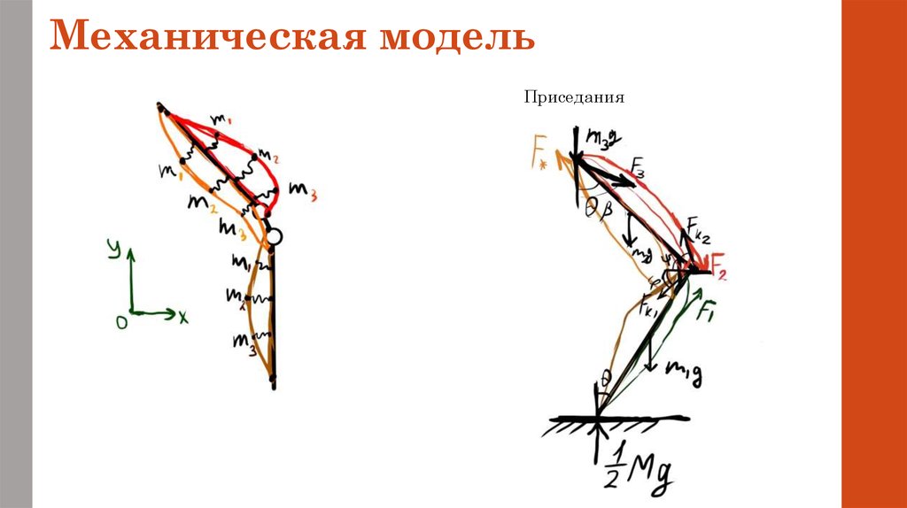 Модель разумный