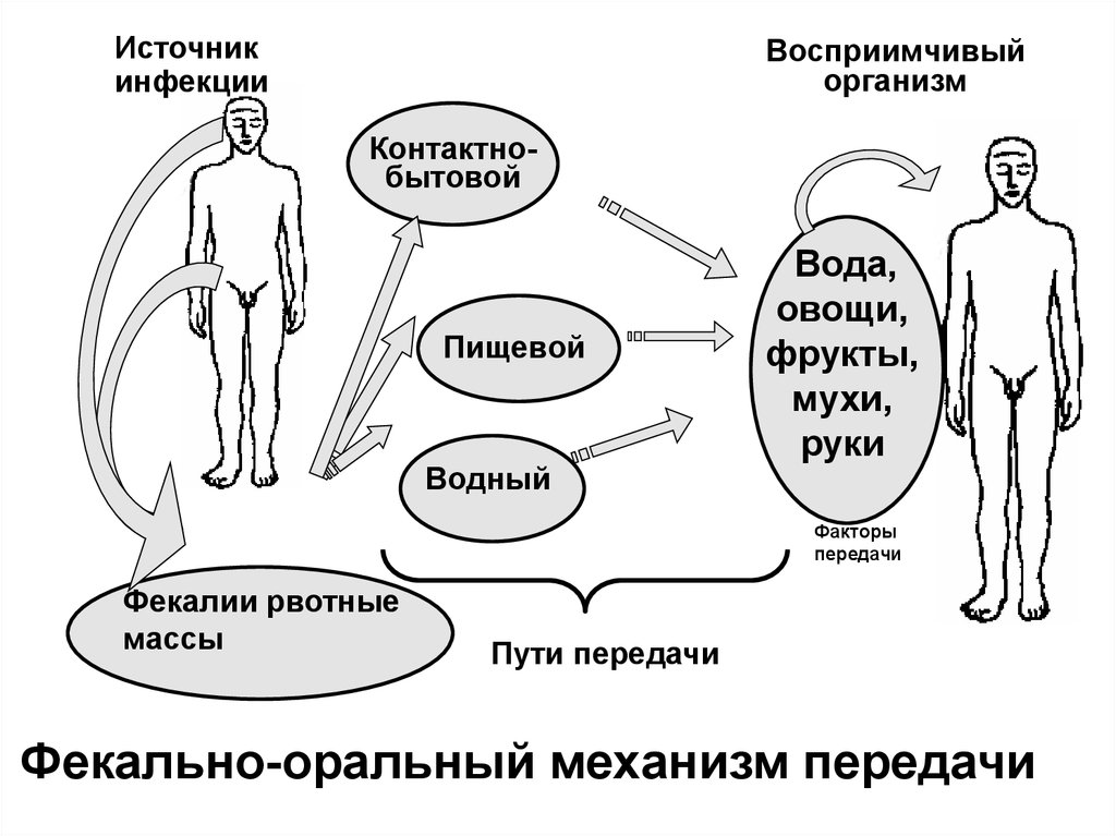 Контактный путь передачи