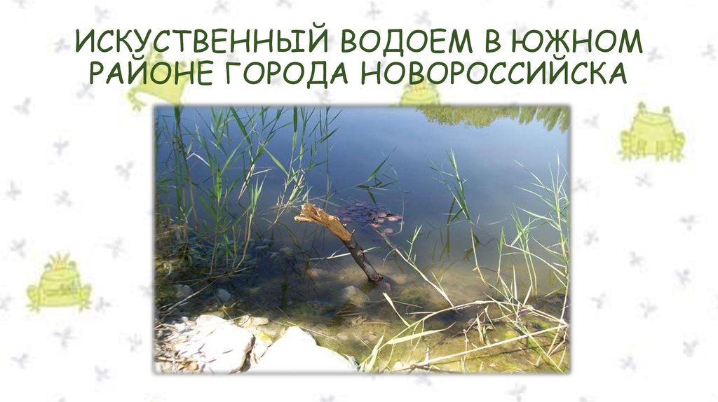 ИСКУСТВЕННЫЙ ВОДОЕМ В ЮЖНОМ РАЙОНЕ ГОРОДА НОВОРОССИЙСКА