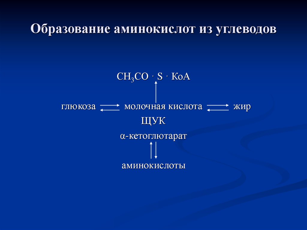 Глюкоза молочная. Образование аминокислот. Образование аминокислот из углеводов. Образование Глюкозы из молочной кислоты. Образование амидов аминокислот из аминокислот.