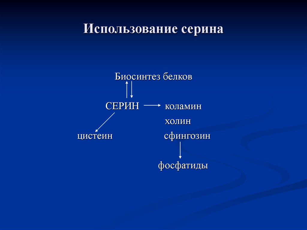 Биосинтез аминокислот и белков. Семейство Серина. Серин коламин Холин. Коламин образуется из Серина в процессе. Из Серина получить коламин.