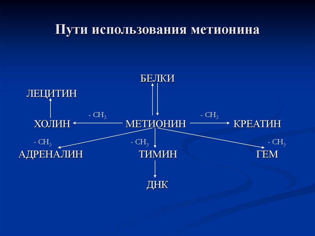 Путем использование