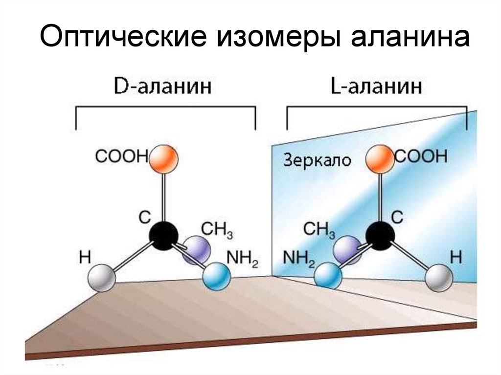 Оптические изомеры аланина