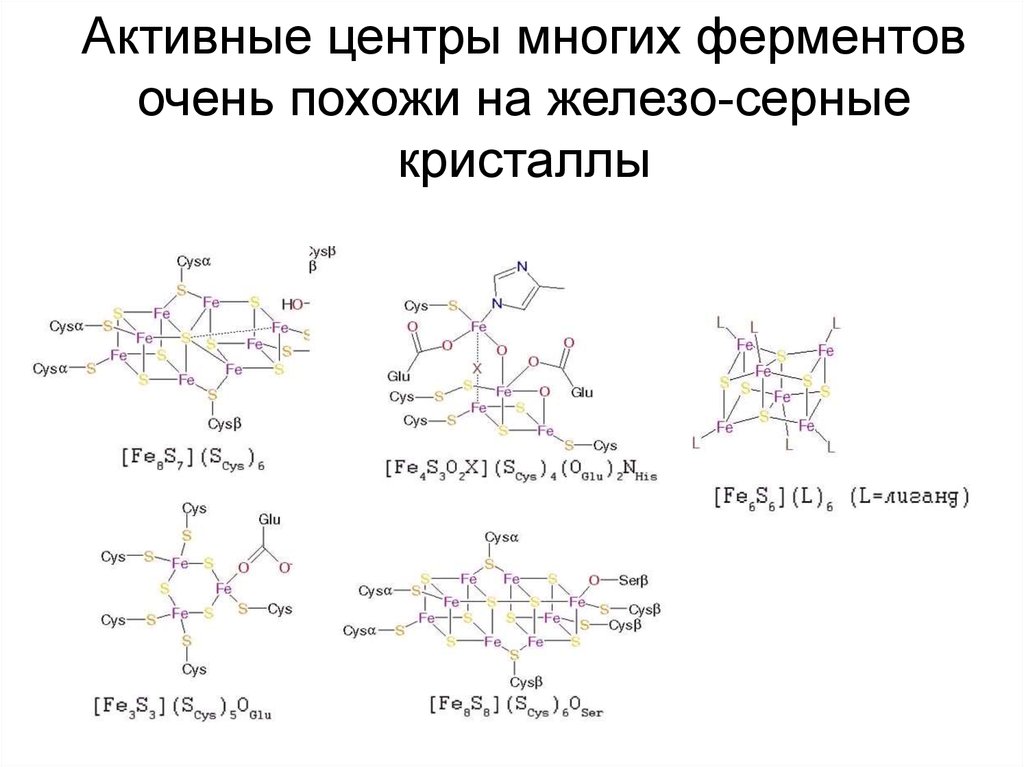 Ферменты содержащие железо. Железосерные ферменты. Железосерные центры. Железо серо содержащий фермент. Железо-серосодержащий фермент примеры.