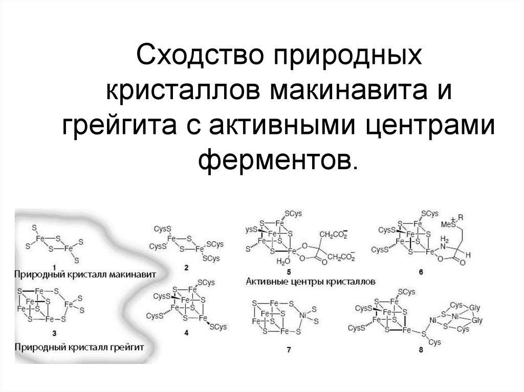 Cходство природных кристаллов макинавита и грейгита с активными центрами ферментов.