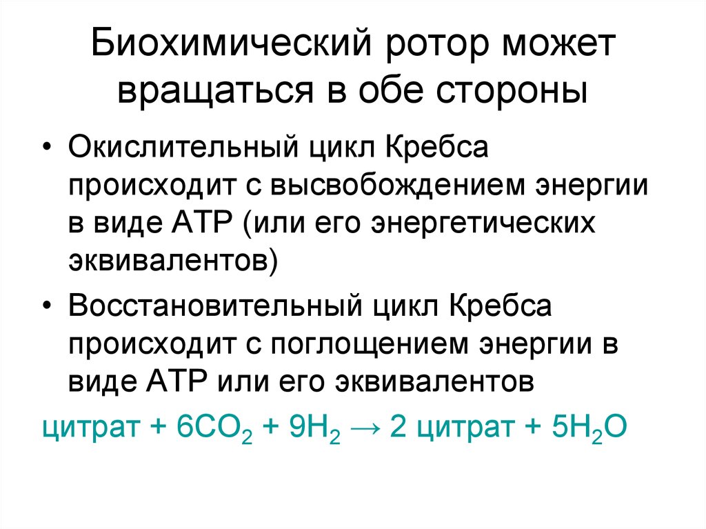 Биохимический ротор может вращаться в обе стороны