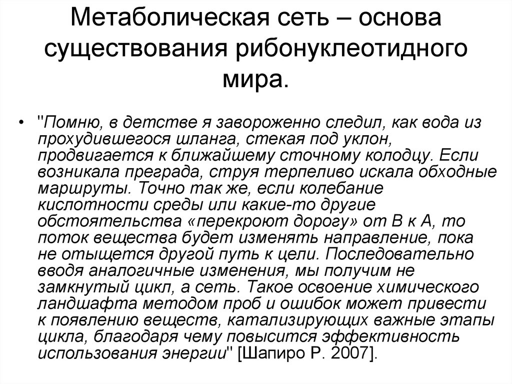 Метаболическая сеть – основа существования рибонуклеотидного мира.