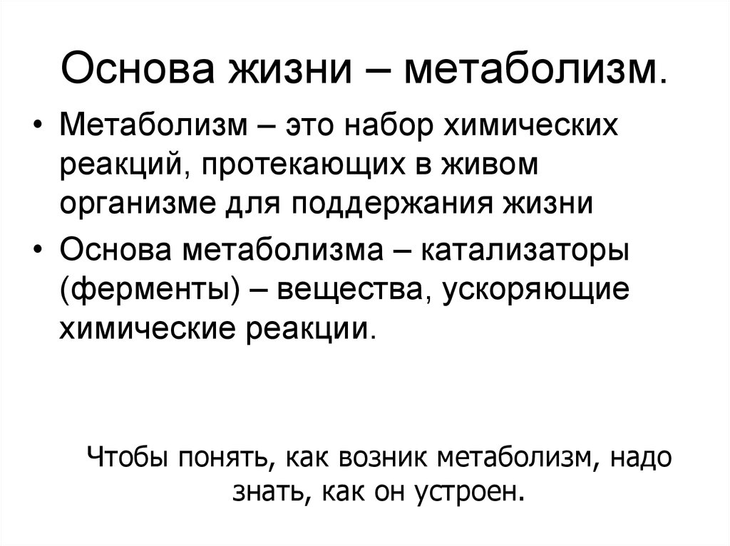 Основные жизни. Метаболизм. Обмен веществ основа жизни. Метаболизм- основа жизни. Анаболизм катализ химия.