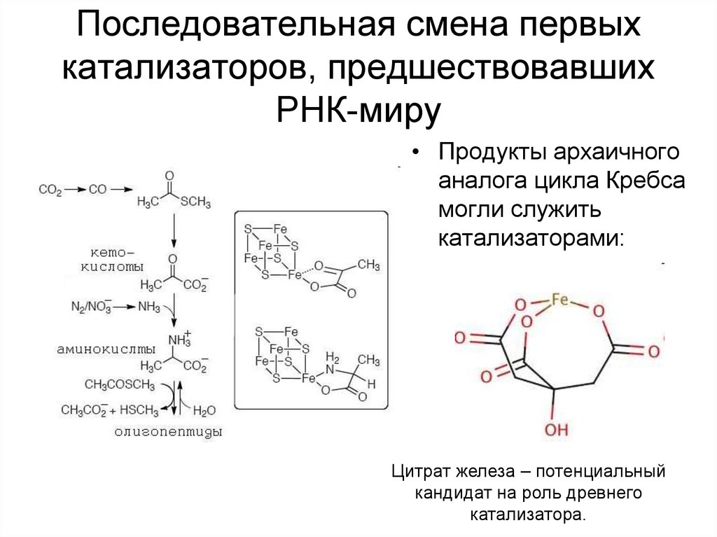Последовательная смена первых катализаторов, предшествовавших РНК-миру