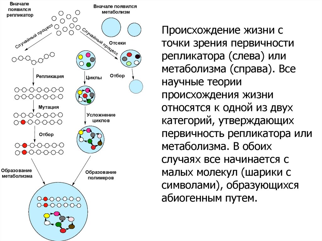 Первая форма жизни. Происхождения жизни с точки зрения науки. Репликаторы в биологии. Какие две точки зрения к гипотезам происхождения жизни. Теория репликаторов в создания человека.