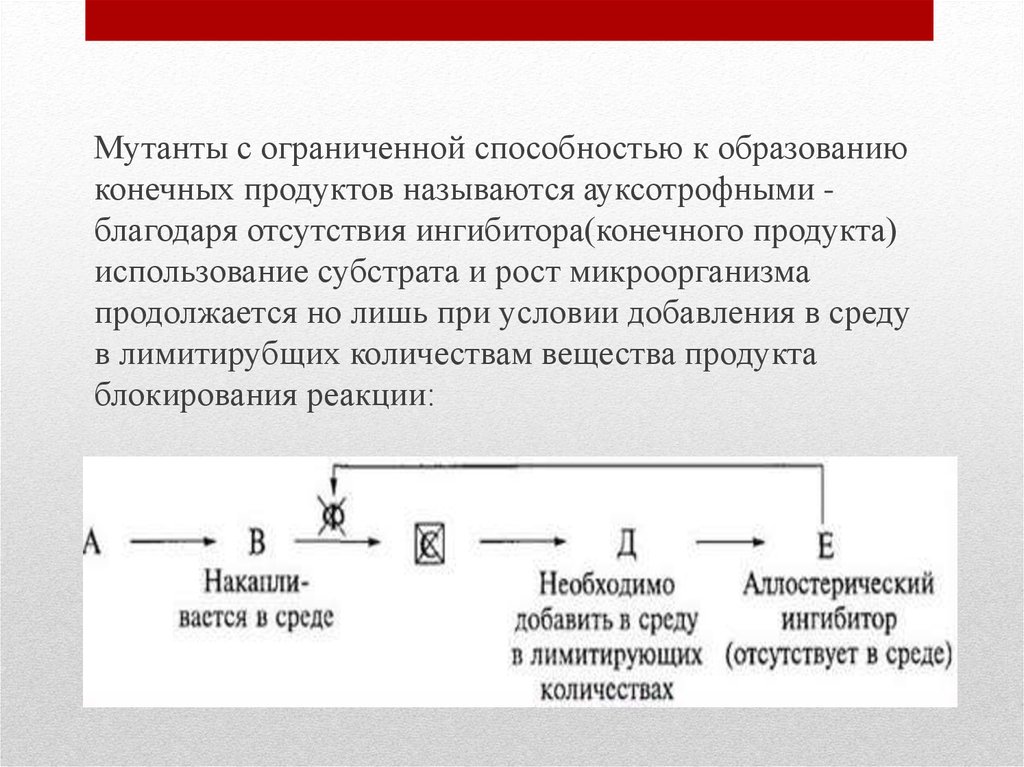 Ауксотрофы. Ауксотрофные и регуляторные мутанты. Ауксотрофные микроорганизмы. Ауксотрофные мутации бактерий. Конечный продукт Гена.