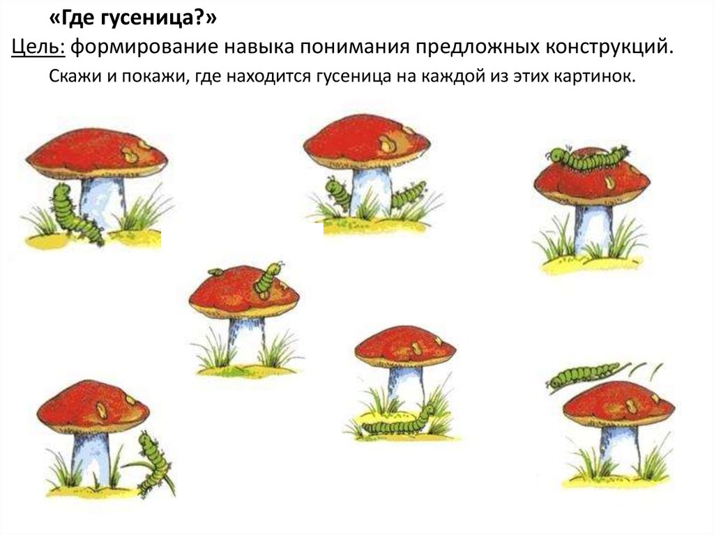 Виды грамматического строя