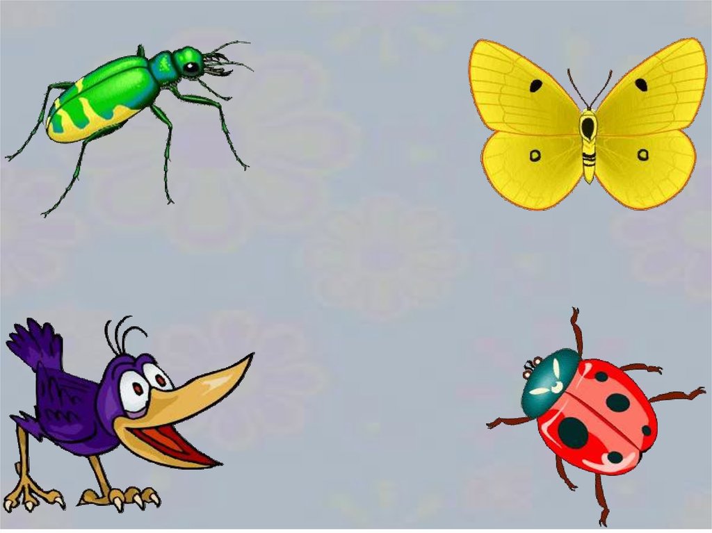 Про насекомых для детей 3 4. Насекомые для детей. Четвертый лишний насекомые. Насекомые для дошкольников. Четвертый лишний насекомые для дошкольников.