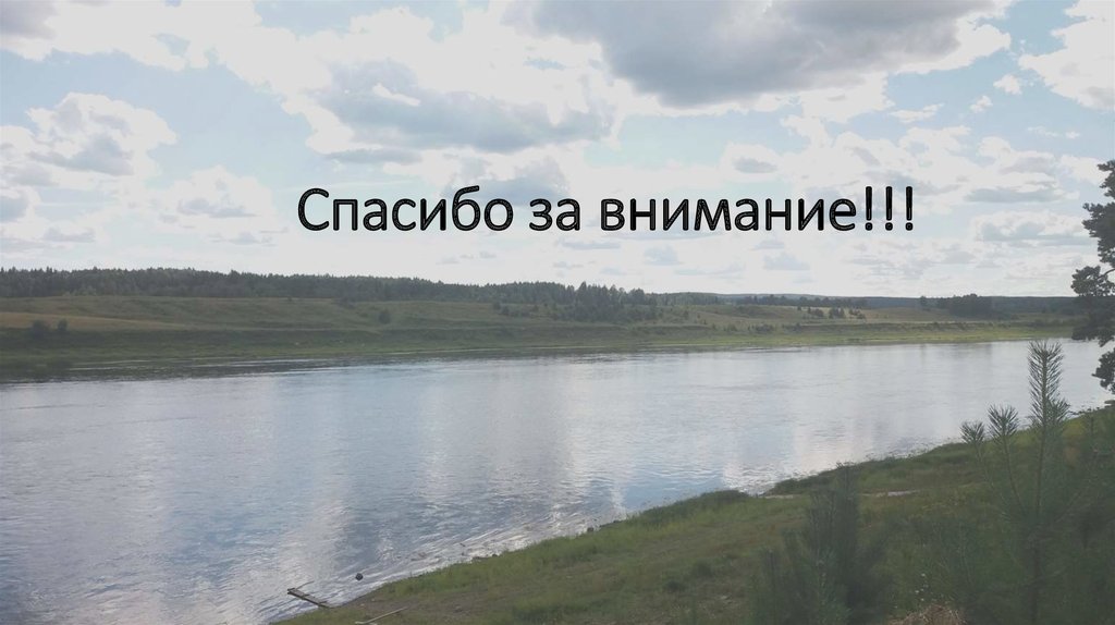 Спасибо за внимание!!!