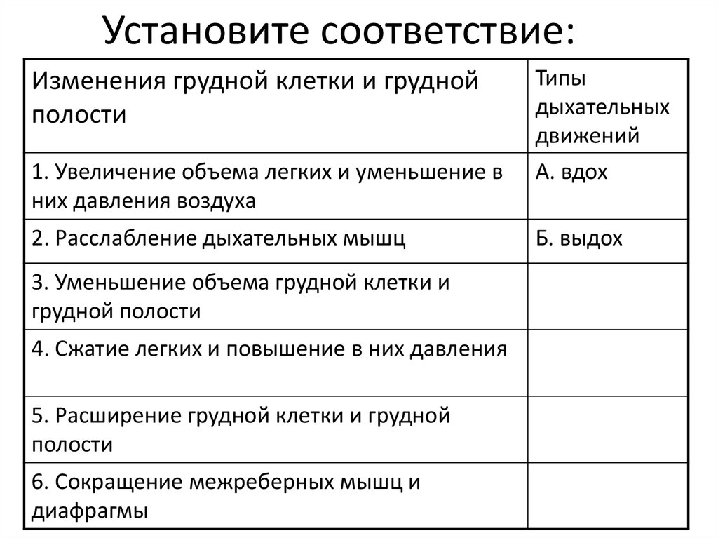 Установите соответствие: