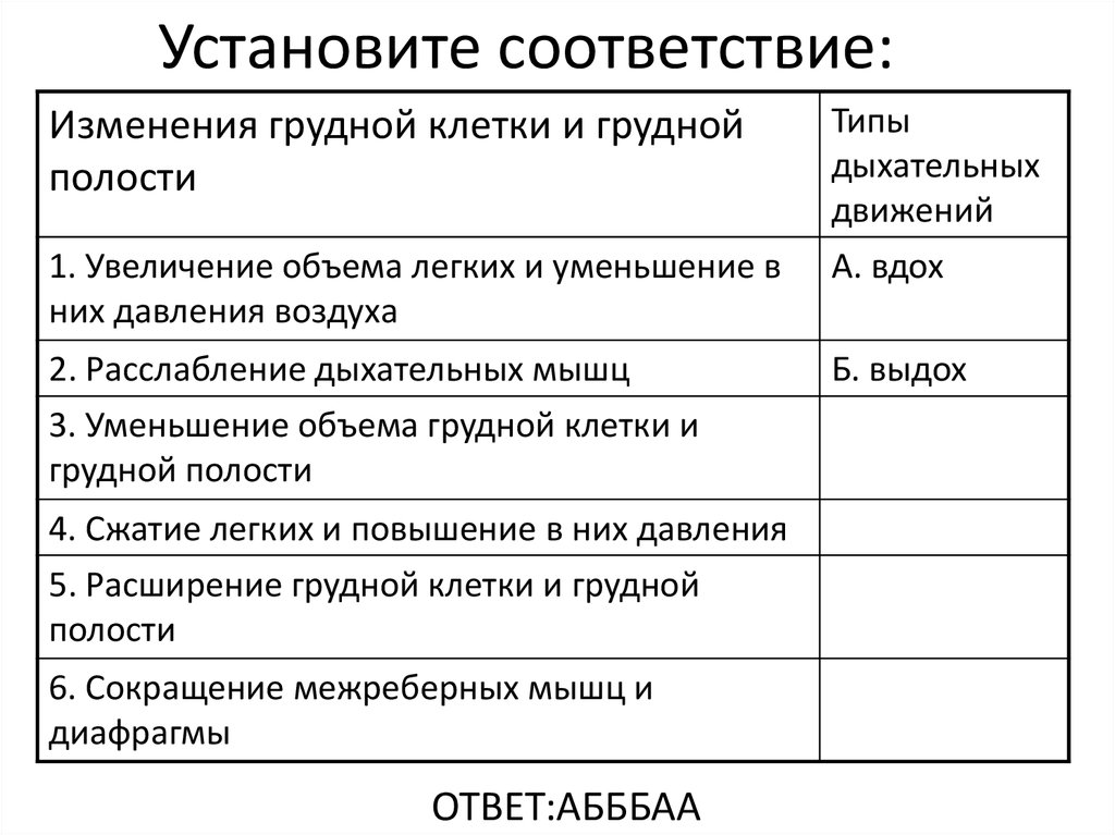 Установите соответствие: