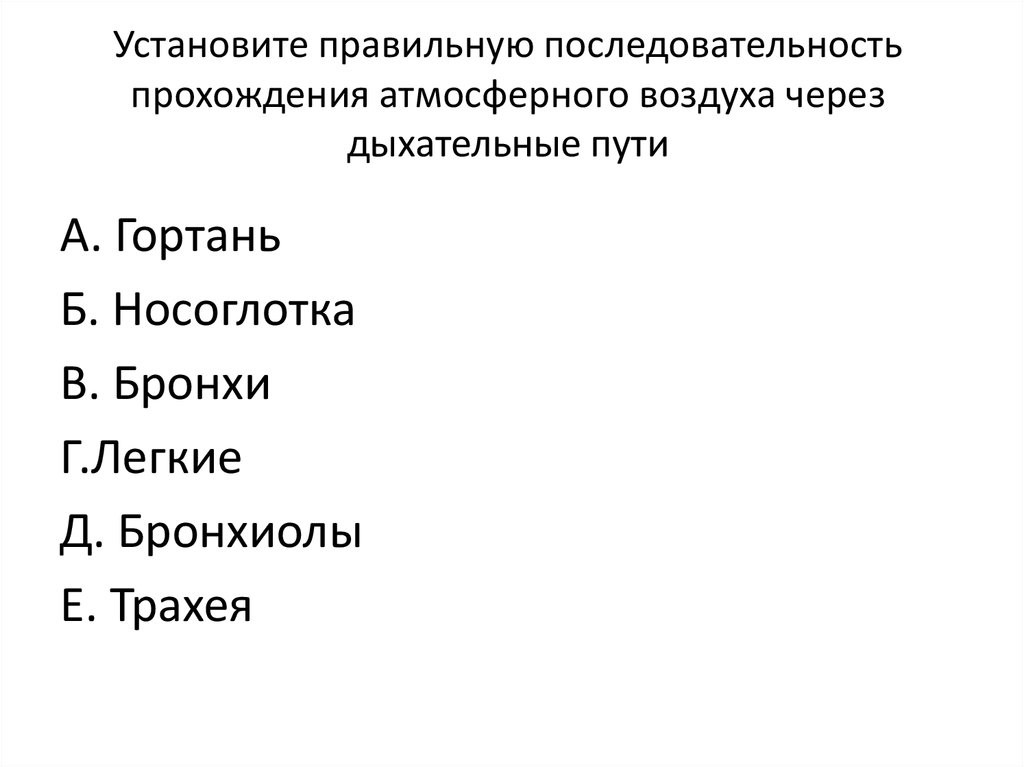 Прохождение воздуха. Установить правильную последовательность прохождения воздуха. Последовательность прохождения воздуха по дыхательной системе. Установите последовательность прохождения воздуха. Последовательность прохождения воздуха через дыхательные пути.