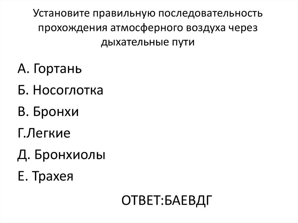 Установите правильную последовательность прохождения атмосферного воздуха через дыхательные пути