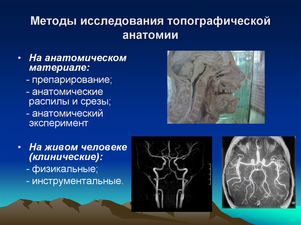 Пирогов методы для изучения топографии органов