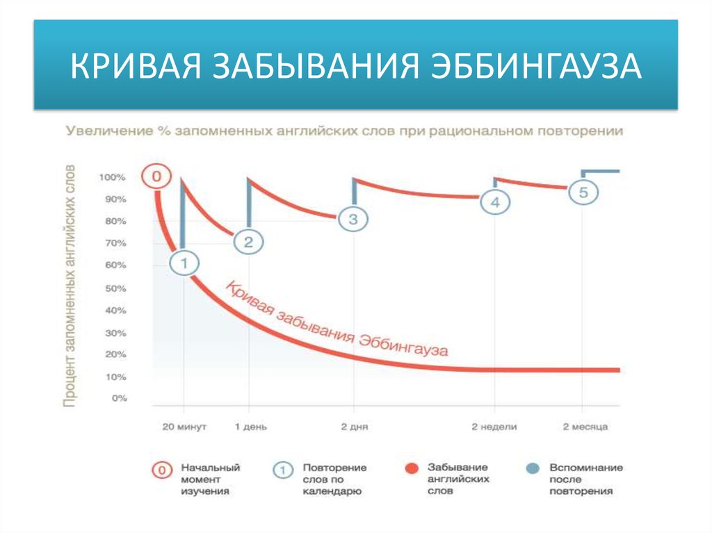 Кривая система. Эббингауз кривая запоминания. Эббингауза и методики повторения. Кривая забывания Эббингауза. Система повторения по Эббингаузу.