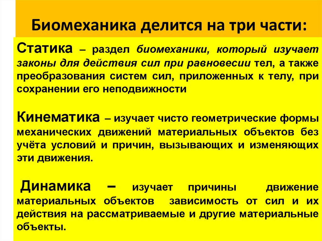 Изучение биомеханики. Основные разделы биомеханики. Понятие биомеханика. Основные законы биомеханики. Основы биомеханики.