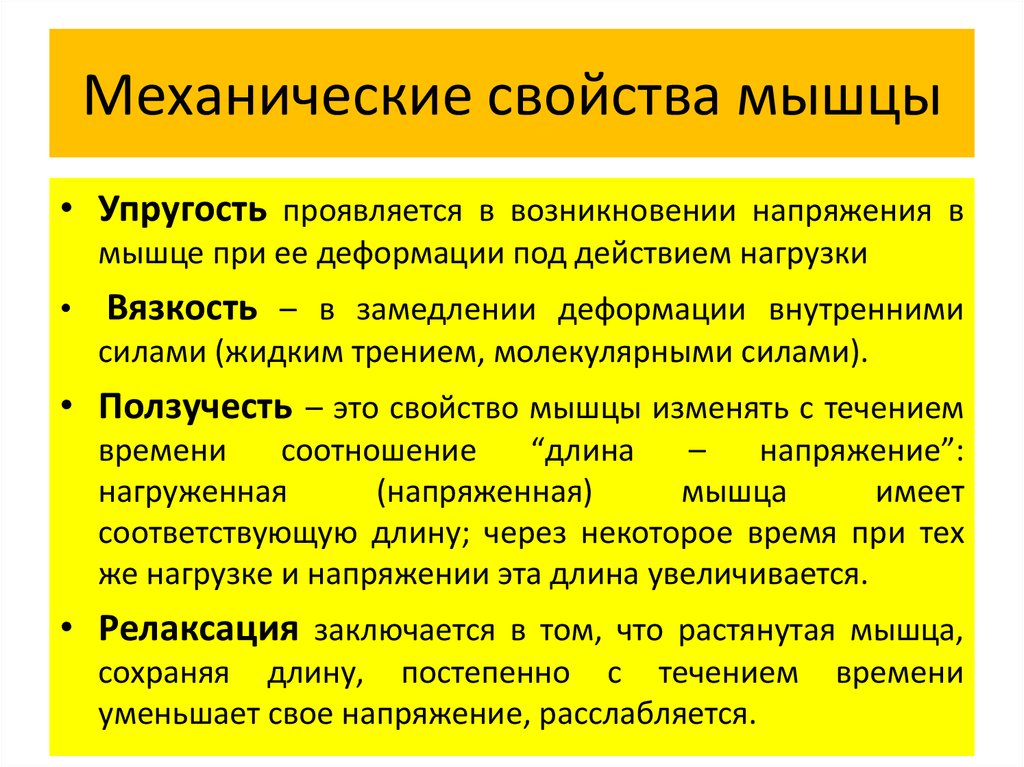 Какие свойства мышц. Каковы свойства мышц. Какими свойствами обладают мышцы. Свойства мышц 8 класс. Свойства мышц человека.