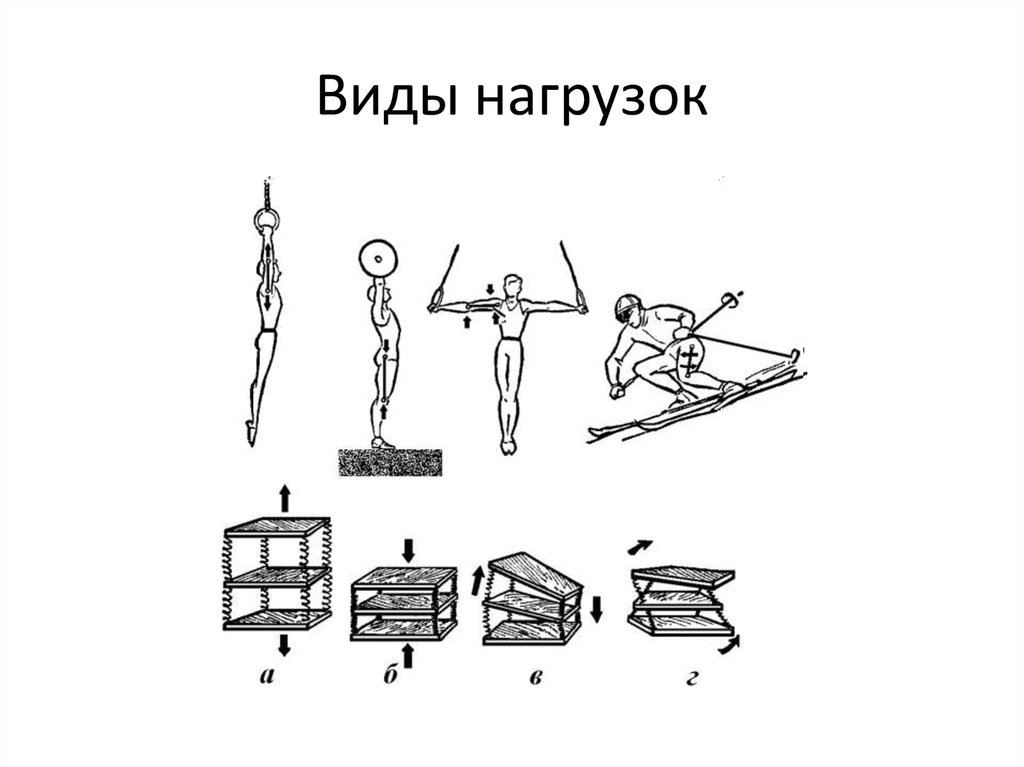 Виды усилий. Виды нагрузок биомеханика. Задачи по биомеханике. Виды нагрузок. Решение задач по биомеханике.